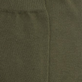 Chaussettes enfant en coton égyptien - Cameleon | Doré Doré
