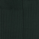 Chaussettes homme fines à côtes en fil d'Écosse - Vert thym | Doré Doré