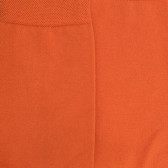 Chaussettes femme fines en coton égyptien - Abricot | Doré Doré