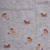 Calzini da uomo in cotone per cani - Rocky Grey Doré Doré