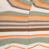 Calze corte da donna in cotone a righe con effetto brillante - Ecru | Doré Doré