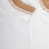 Calze corte da donna in cotone tinta unita con polso in contrasto - Bianco | Doré Doré