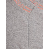 Calze corte da donna in spugna di cotone tinta unita con righe e logo effetto brillante - Grigio vapore | Doré Doré