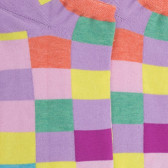 Calzini di cotone egiziano per donne