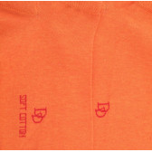 Calze corte da uomo leggere in cotone tinta unita - Arancione | Doré Doré