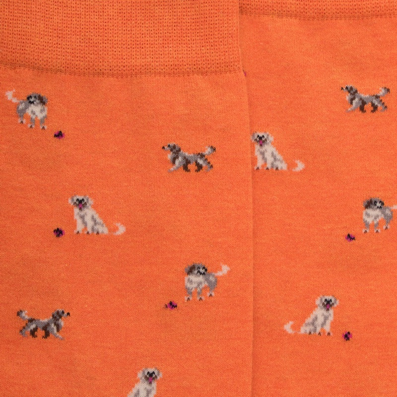 Calze da uomo in cotone con disegno di cane - Oranger | Doré Doré