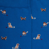 Chaussettes homme en coton à motif chiens - Bleu Cosmos | Doré Doré