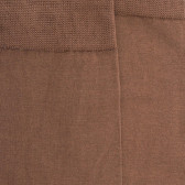 Calze leggere da uomo in filato tartan e poliammide - Caille | Doré Doré