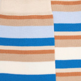 Calze da uomo in filo di Scozia a righe colorate - Lino Beige | Doré Doré