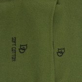 Calze da donna in cotone con bordi morbidi - Verde | Doré Doré