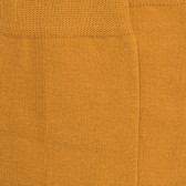 Calzini giallo curry in cotone egiziano